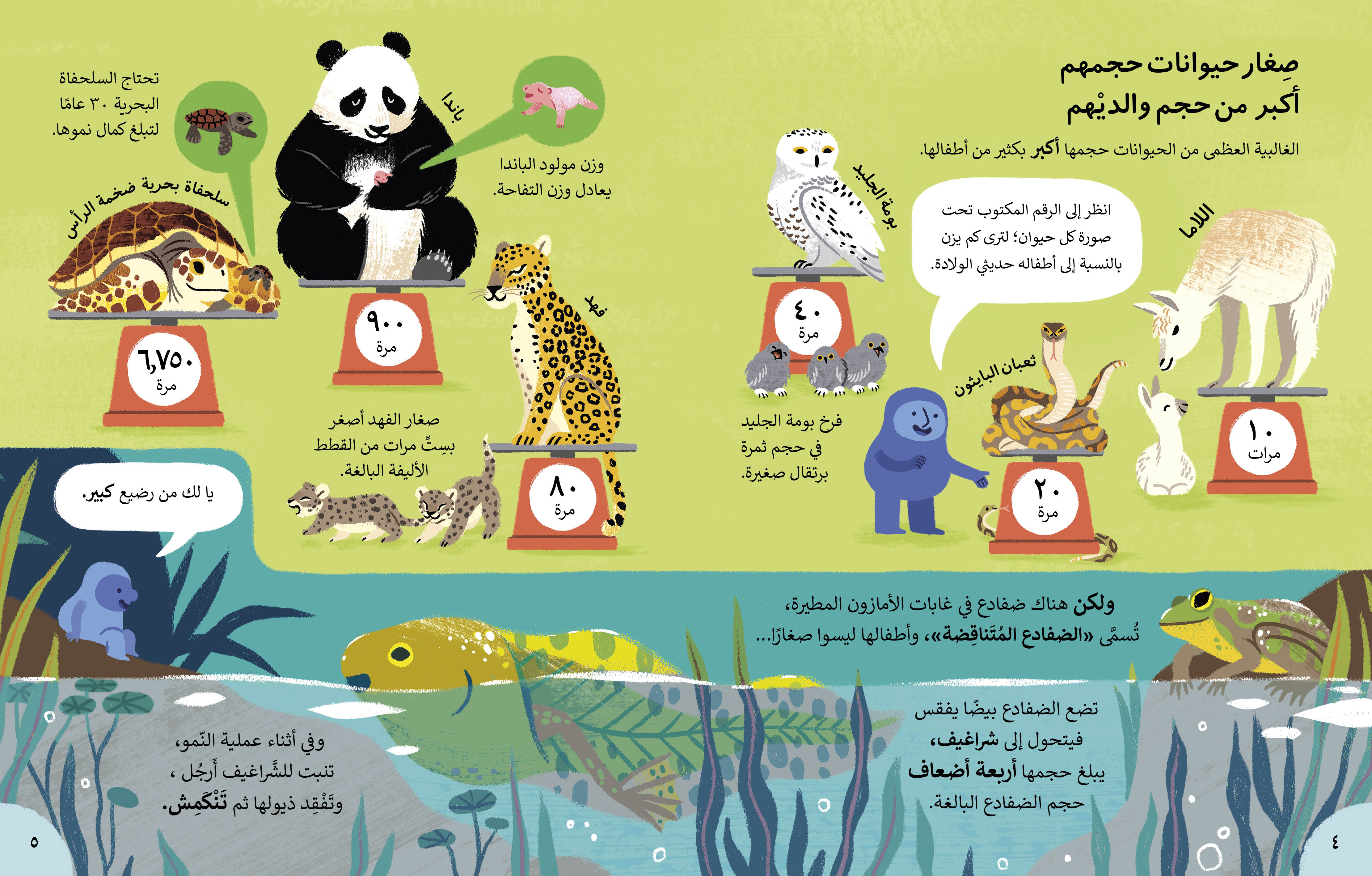معلومات كثيرة جدا  ومدهشة جدا جدا عن الحيوانات